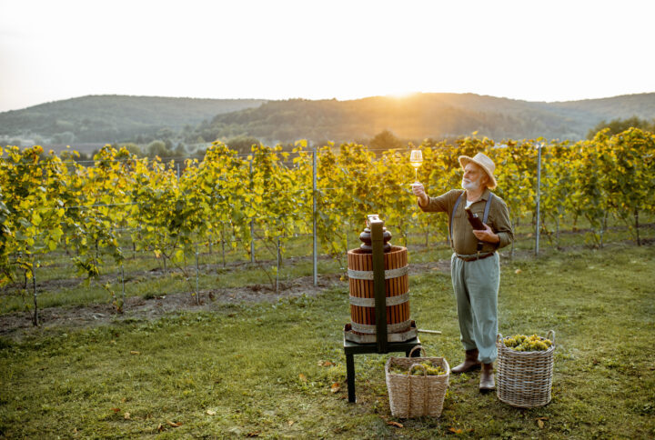 L’Italia del vino: un viaggio tra territori, vitigni e grandi tradizioni